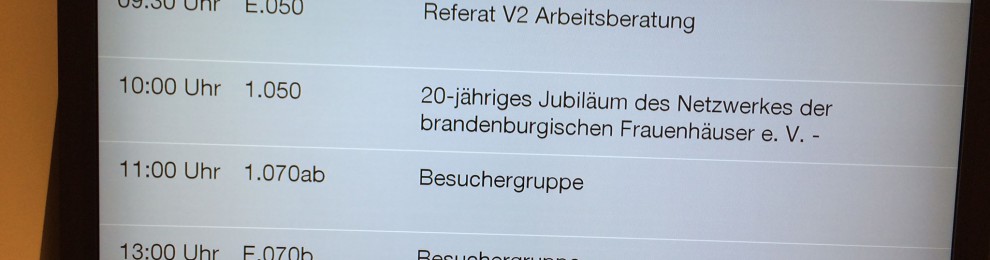 20 Jahre Netzwerk brandenburgischer Frauenhäuser