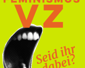 Netzwerk FeminismusVZ